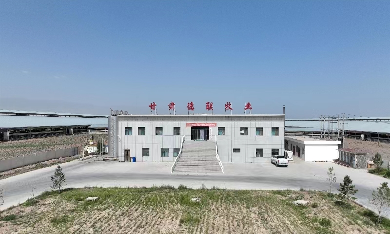 甘肃德联牧业有限公司（437必赢会员中心集团德联牧场）