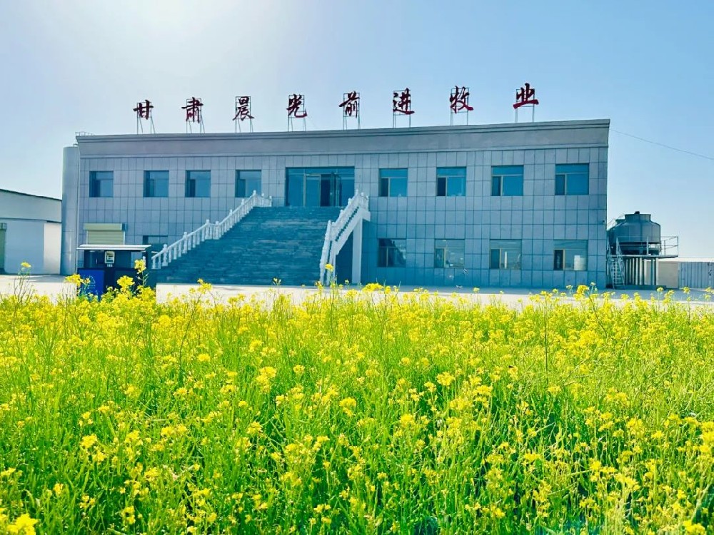 微信图片_20240530083847.jpg