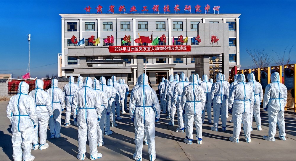 微信图片_20241115092555.jpg